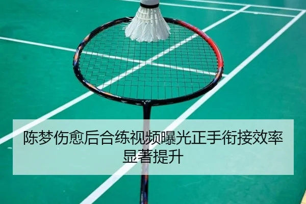 陈梦伤愈后合练视频曝光正手衔接效率显著提升