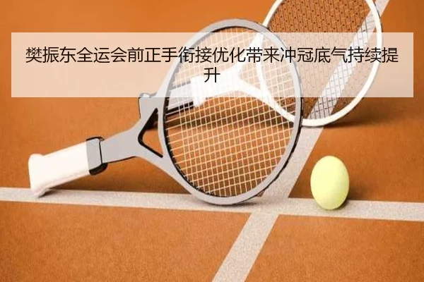樊振东全运会前正手衔接优化带来冲冠底气持续提升
